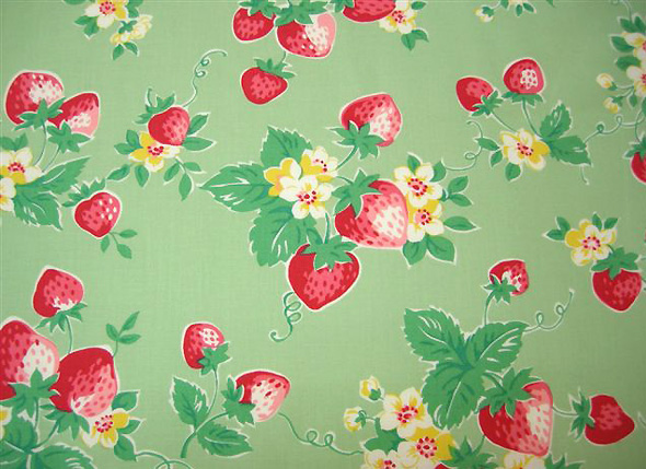 ���塼�ȥ��ȥ��٥꡼��������ɡ���50��110cm�ҡ�