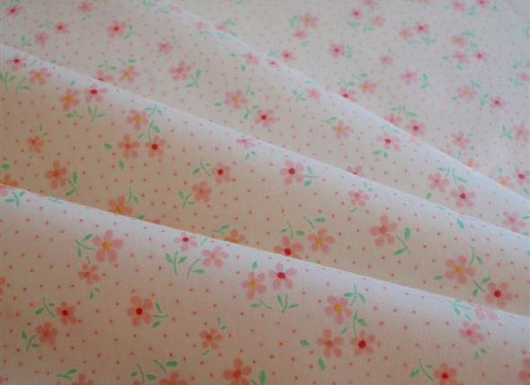 �ѥ��ƥ�ե��������ܥ꡼����110cm�ҡ�50cm��