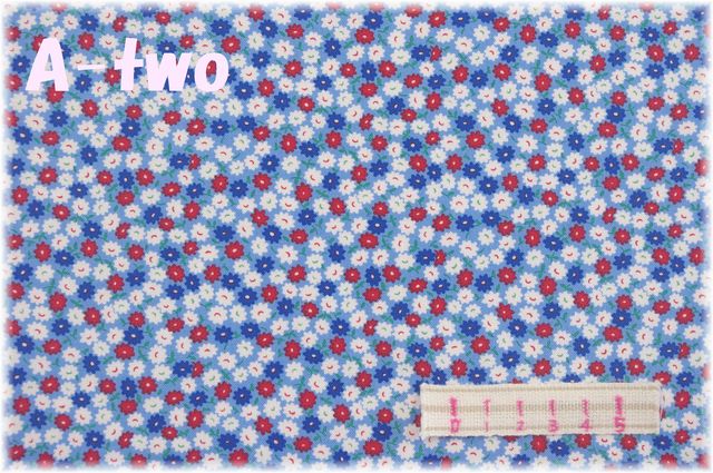 moda　30S PLAYTIME　PACKED POSIES　SKY　33634-16　（約110cm幅×50cm）