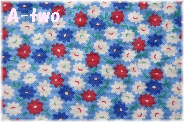 moda　30S PLAYTIME　PACKED POSIES　SKY　33634-16　（約110cm幅×50cm）