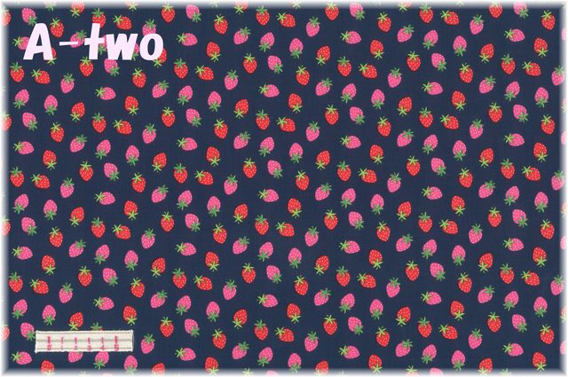 moda　RAINBOW GARDEN　ネイビー　35365-18　（約110cm幅×50cm）